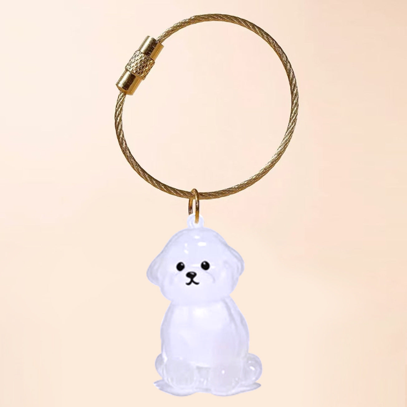Transparent Cat Hair Storage Box Charm Commemorative Keychain