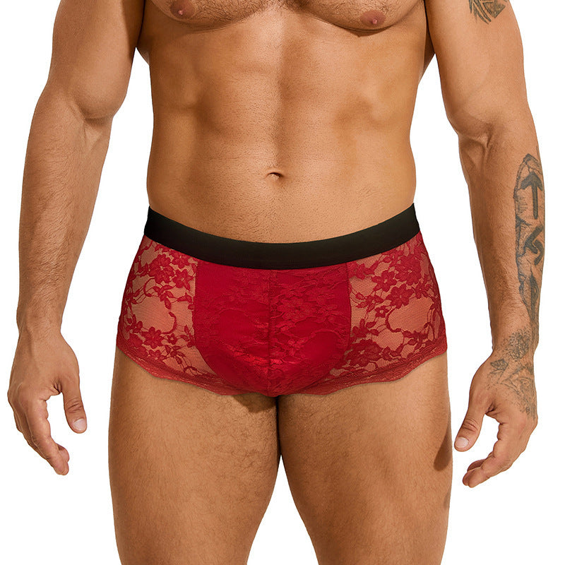Men's Lace Sexy Briefs Hollow Out See Through