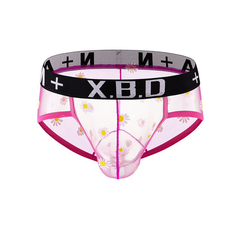 Men's Underwear Mesh See Through Breathable Sexy Briefs