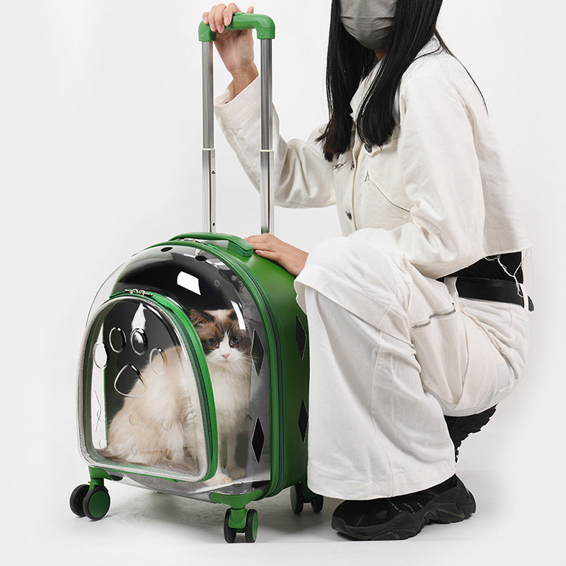 Creative Pet Trolley Transparent Bag