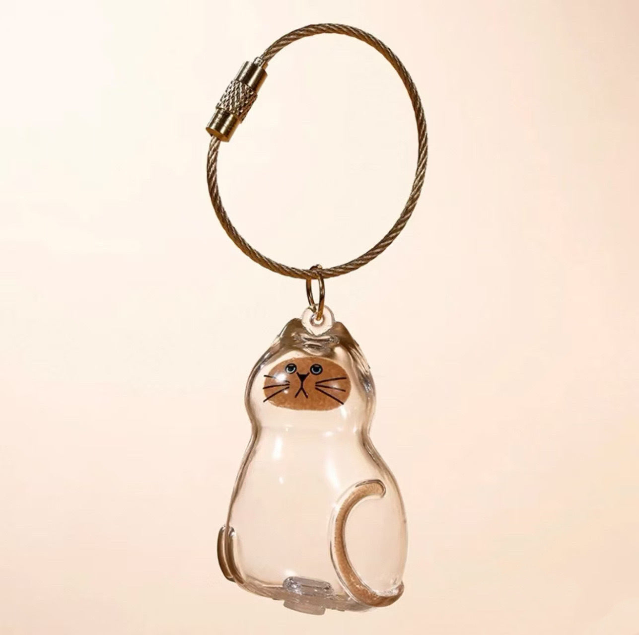 Transparent Cat Hair Storage Box Charm Commemorative Keychain