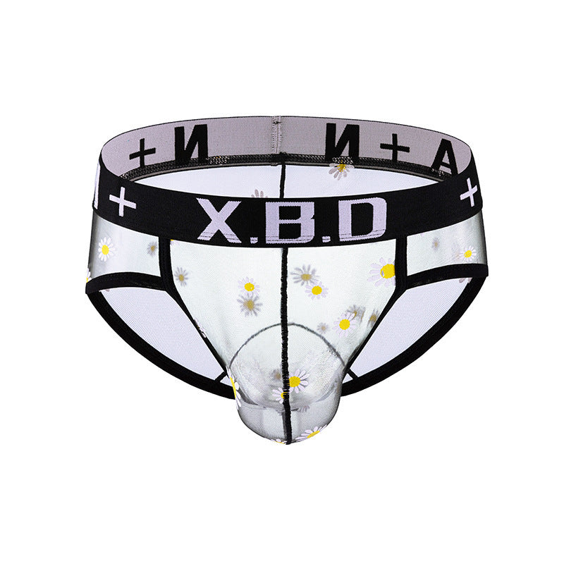 Men's Underwear Mesh See Through Breathable Sexy Briefs