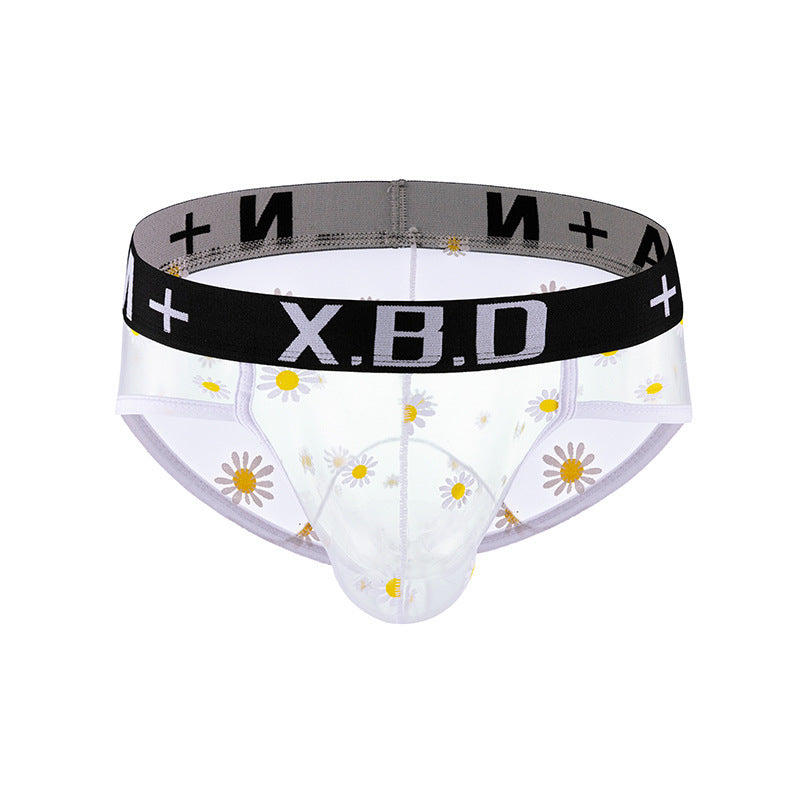 Men's Underwear Mesh See Through Breathable Sexy Briefs