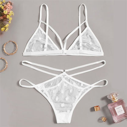 Lencería erótica europea y americana, ropa interior sexy transparente, traje de dos piezas