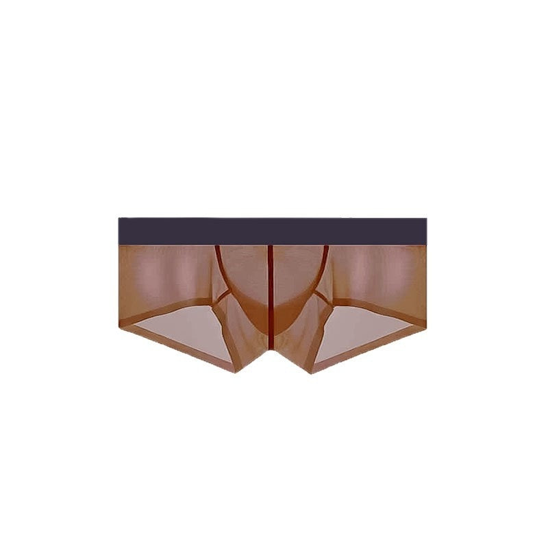 Men's Ice Silk Seamless Ultra-thin Sheer Low Waist Underwear