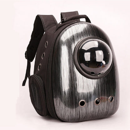 PawVoyager Katzen-Reisepaket
