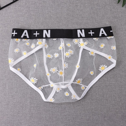 Men's Underwear Mesh See Through Breathable Sexy Briefs