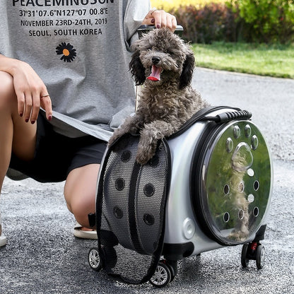 Kleine Haustier-Trolley-Tasche, tragbare Hunde-Wickeltasche, transparente Schultern, Katzentasche, Raumkapsel