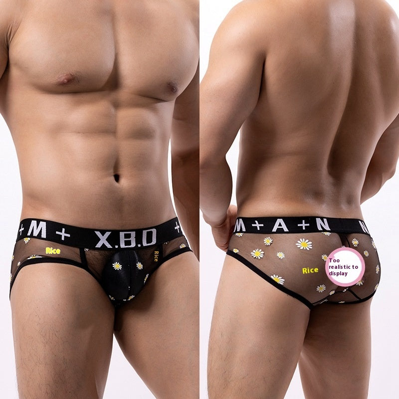 Men's Underwear Mesh See Through Breathable Sexy Briefs