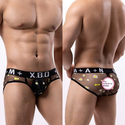 Men's Underwear Mesh See Through Breathable Sexy Briefs