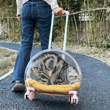 Bolsa para carrito de mascotas para gatos con refuerzo totalmente transparente