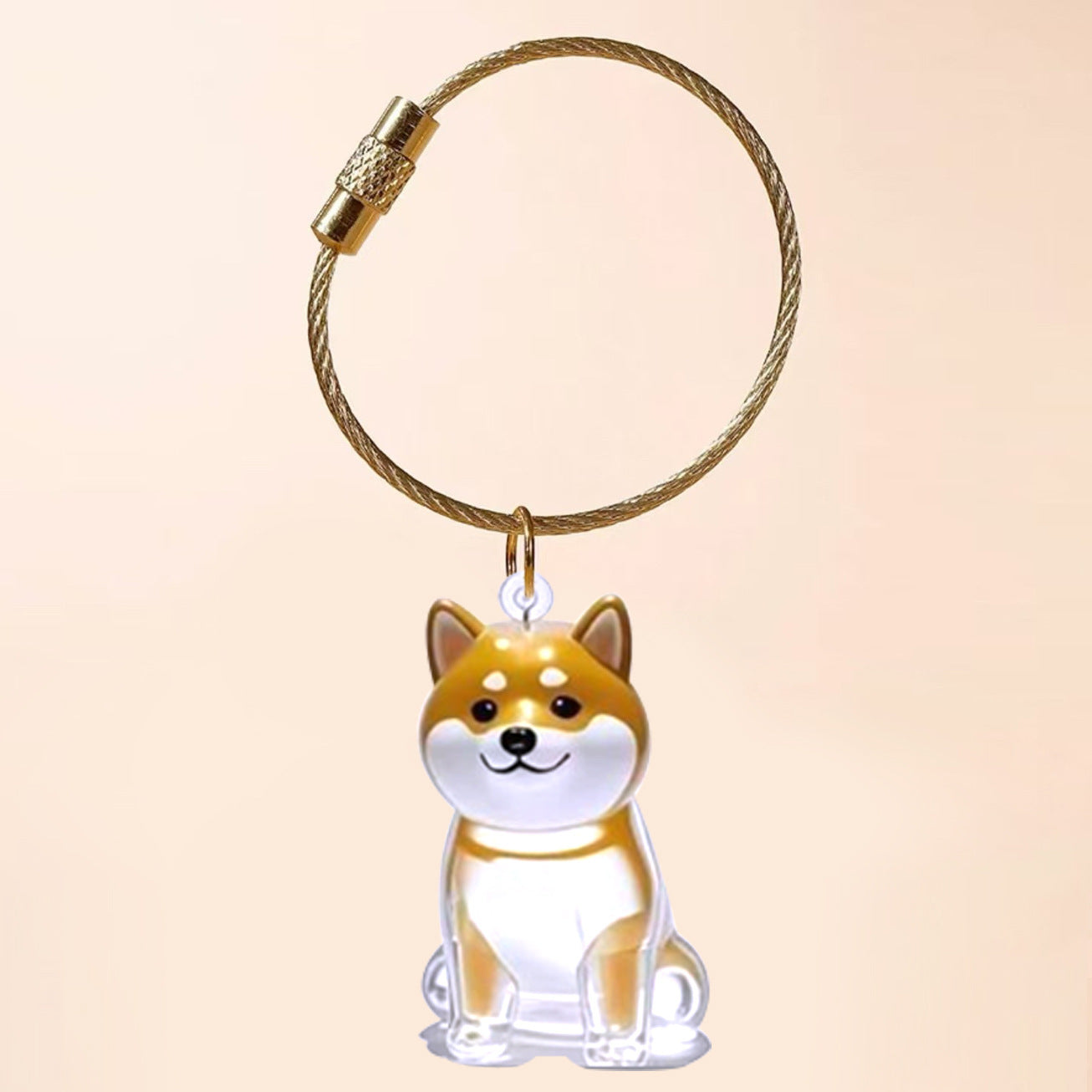 Transparent Cat Hair Storage Box Charm Commemorative Keychain