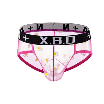 Men's Underwear Mesh See Through Breathable Sexy Briefs
