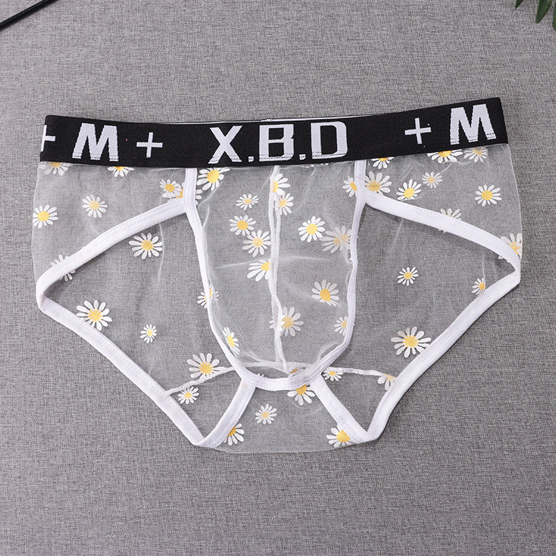 Men's Underwear Mesh See Through Breathable Sexy Briefs