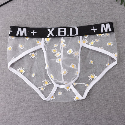 Men's Underwear Mesh See Through Breathable Sexy Briefs