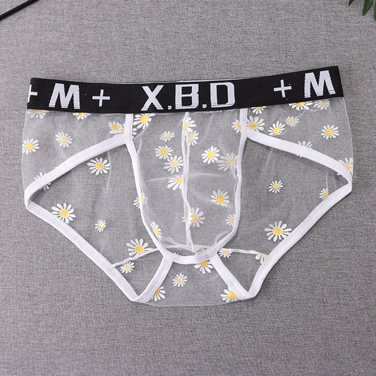 Men's Underwear Mesh See Through Breathable Sexy Briefs