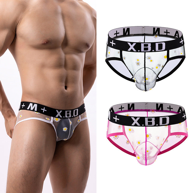 Men's Underwear Mesh See Through Breathable Sexy Briefs