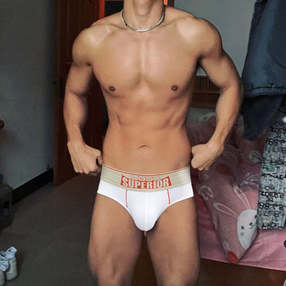 New Men's Underwear Sexy Low Waist Cotton Sports Fitness Anti-wear Leg Briefs