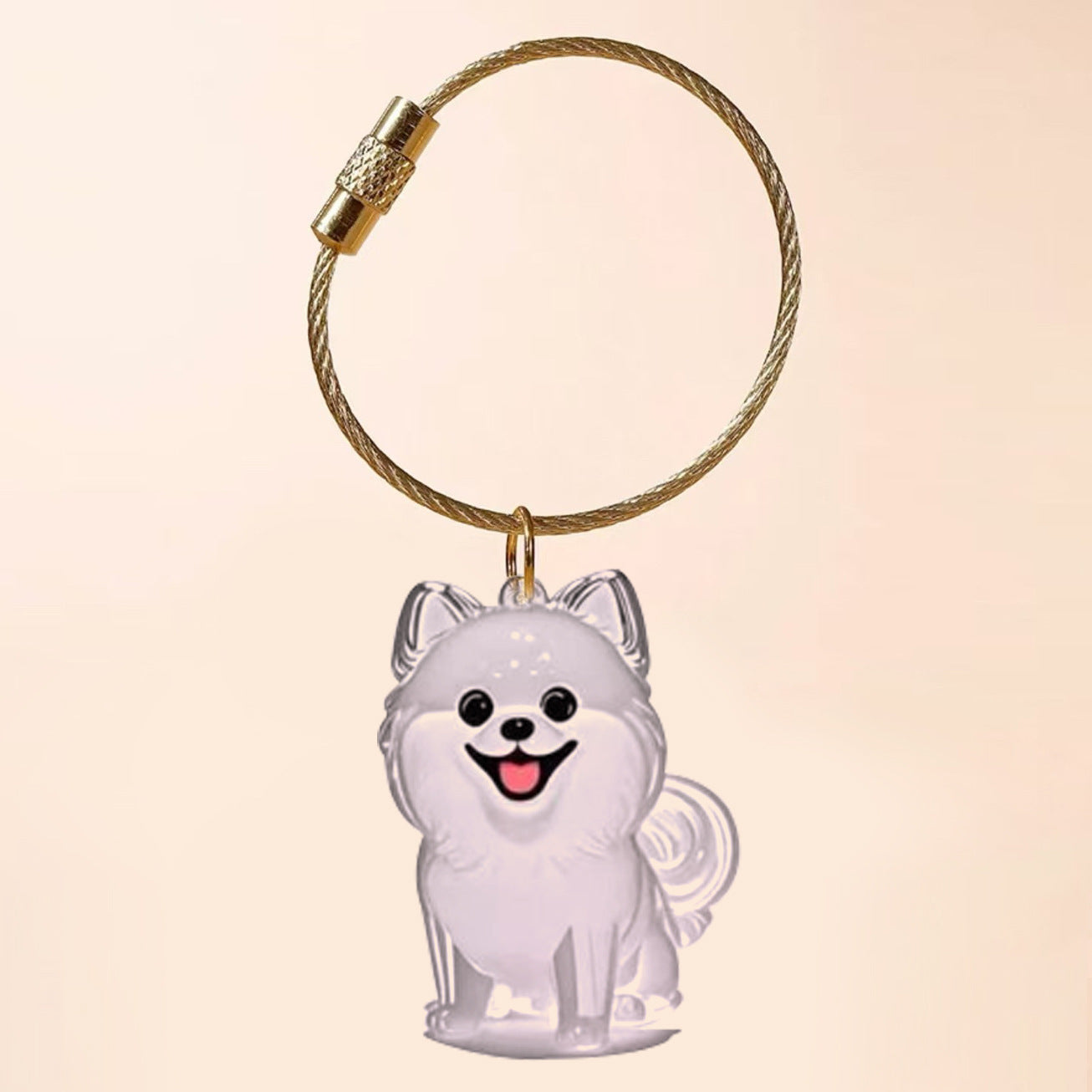Transparent Cat Hair Storage Box Charm Commemorative Keychain