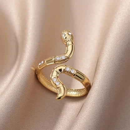 Personalidad transfronteriza del anillo abierto en forma de serpiente