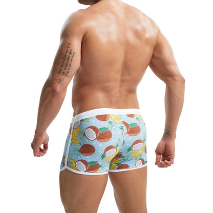 Summer Men's Nylon Printing Swim Briefs