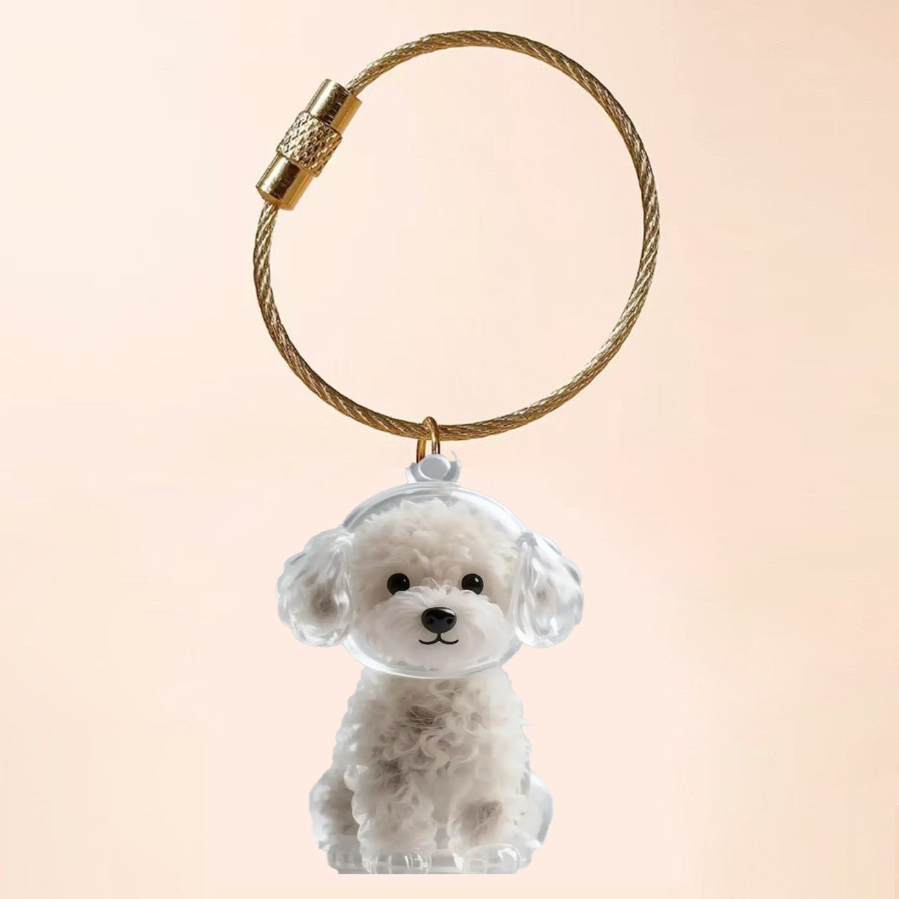 Transparent Cat Hair Storage Box Charm Commemorative Keychain