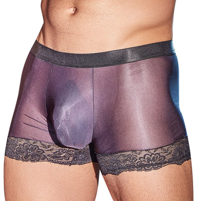 Men's Simple Lace Sexy Boxer Briefs