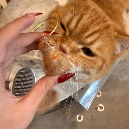 Caja de almacenamiento de pelo de gato transparente con colgante y llavero.
