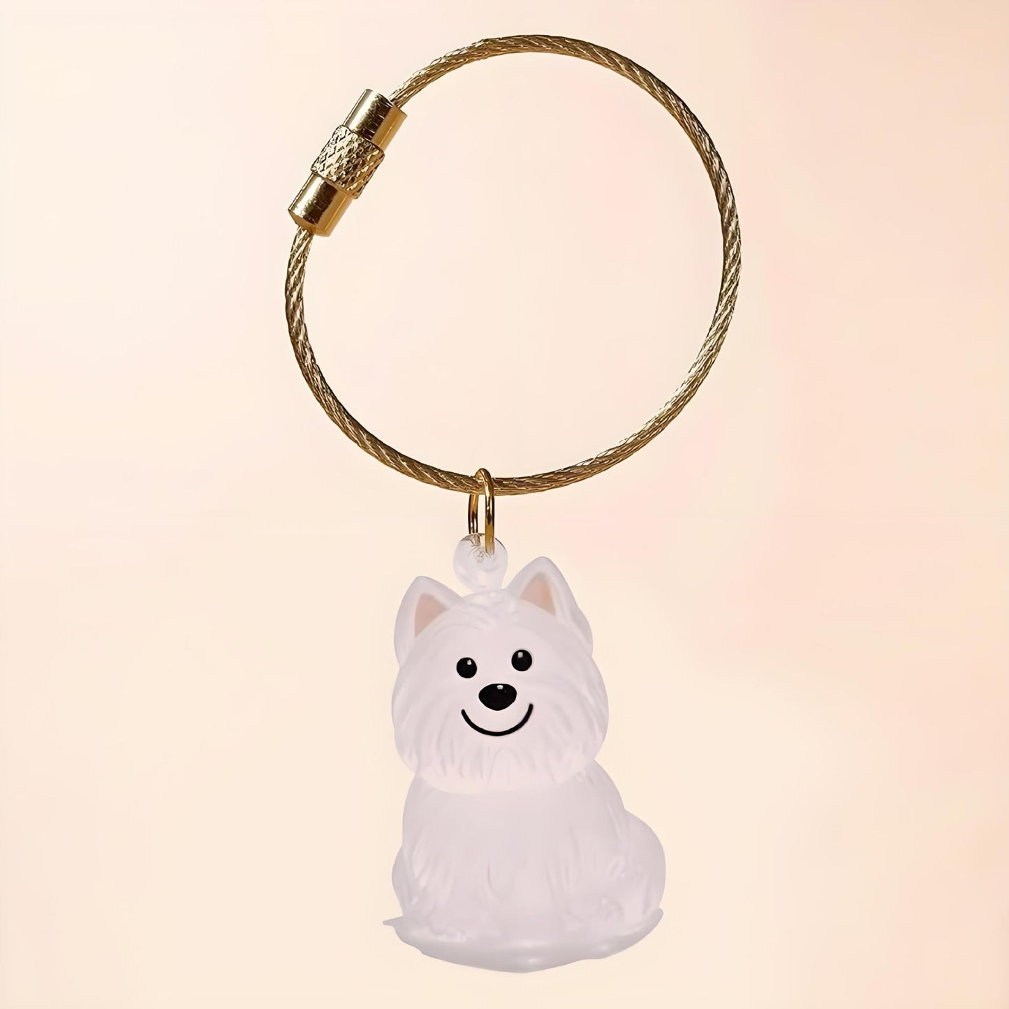 Transparent Cat Hair Storage Box Charm Commemorative Keychain