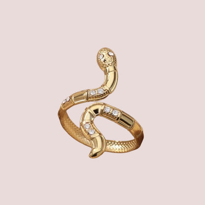 Personalidad transfronteriza del anillo abierto en forma de serpiente