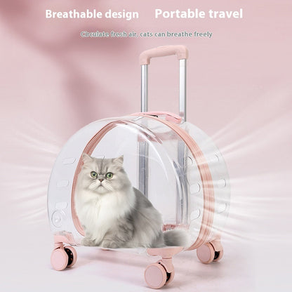 Bolsa para carrito de mascotas para gatos con refuerzo totalmente transparente